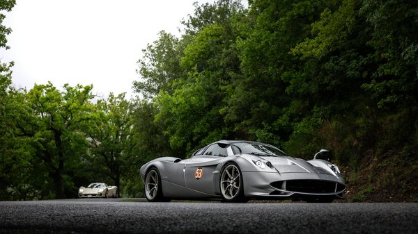 Los mejores accesorios esenciales para cuidar a tus peces dorados